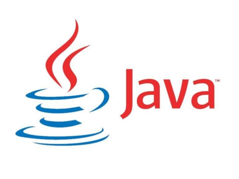 Java and JavaScript dominated software development in the 2010s